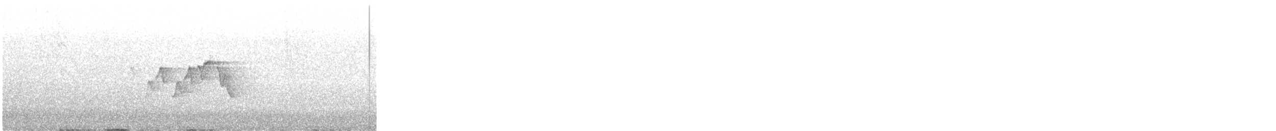 Magnolia Warbler - ML645805923