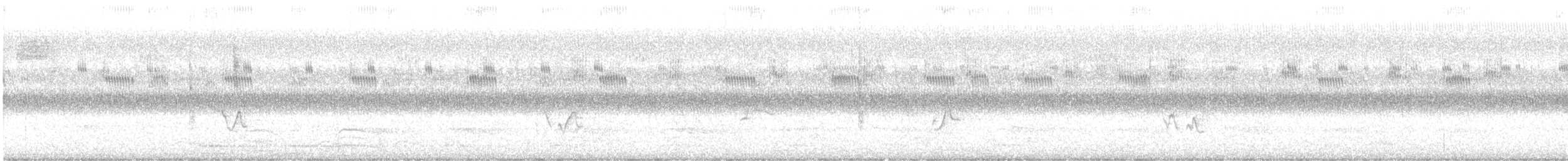 Red-eyed Vireo - ML645806108