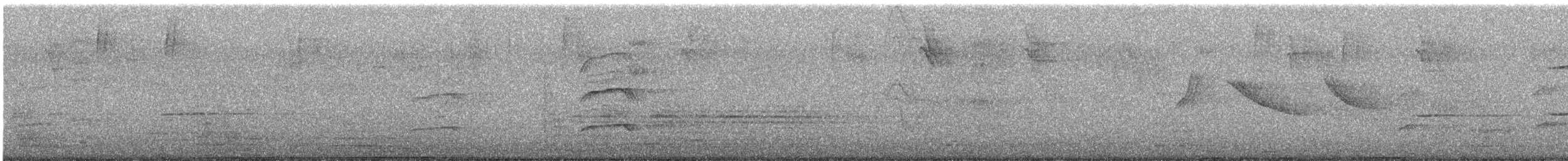 Harris's Hawk - ML645806465