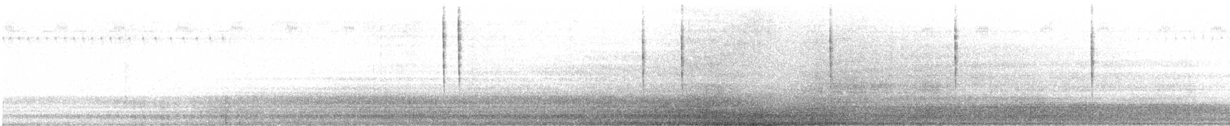 Savannah Sparrow - ML645806608