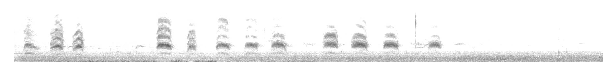 Bonaparte's Gull - ML645807592