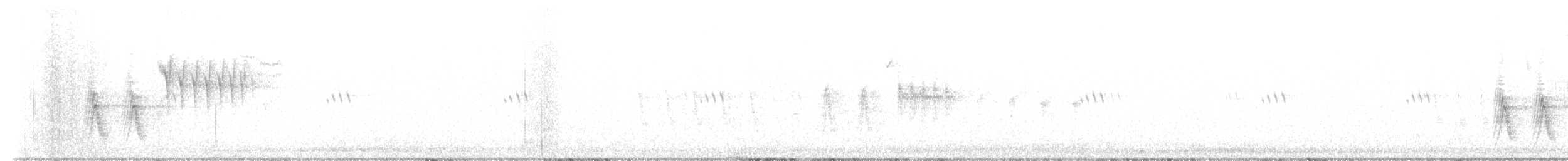 Пятнистый тохи - ML645808064