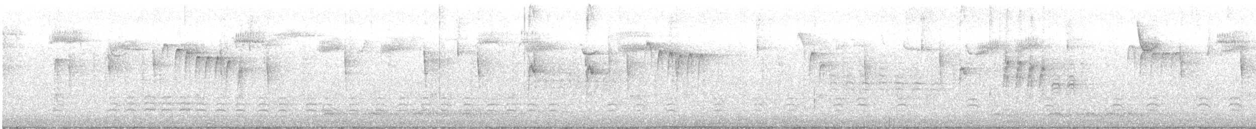 White-breasted Nuthatch - ML645808202