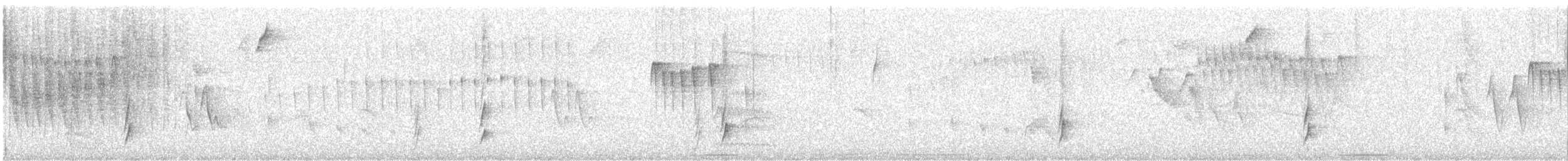 drozd západní [skupina swainsoni] - ML645808614