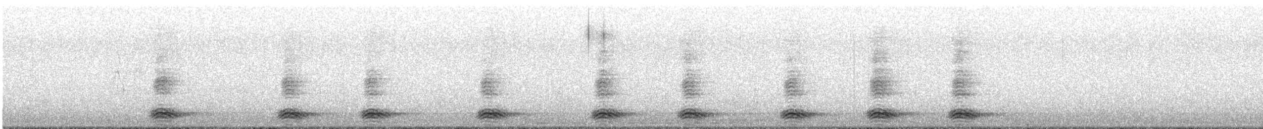 tykknebbkråke - ML645808662