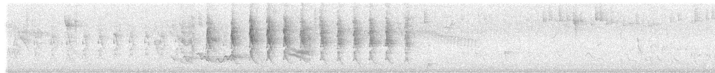 Sclater's Tyrannulet - ML645808676