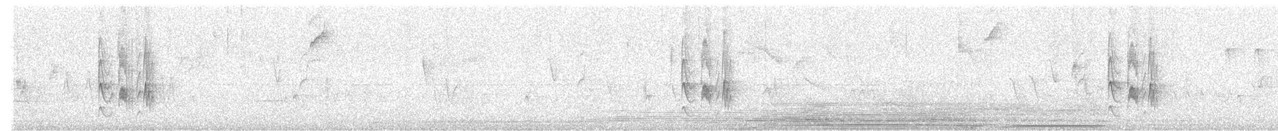 Mouse-colored Tyrannulet (Southern) - ML645808877