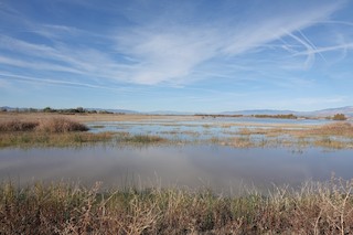 Piute Ponds (permit required), Los Angeles, California, United States ...