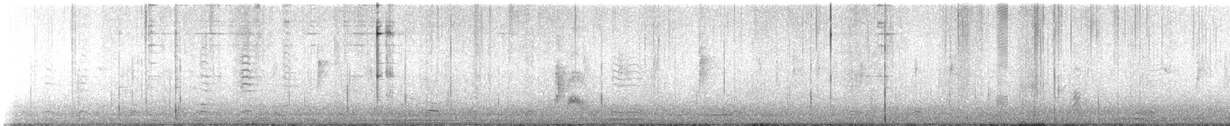 Tropical Kingbird - ML645808964