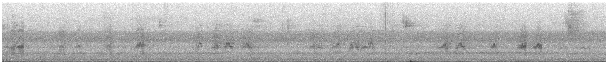 Barred Parakeet - ML645809023