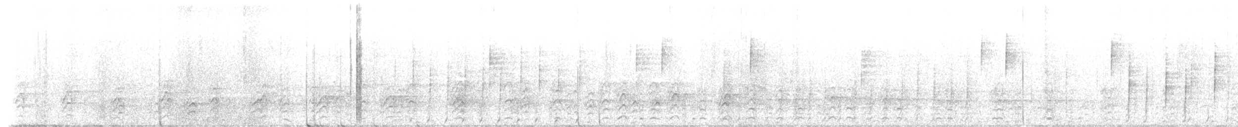 Acorn Woodpecker - ML645809468