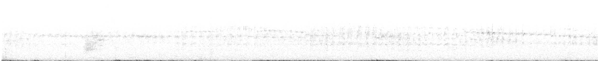 White-throated Swift - ML645809483