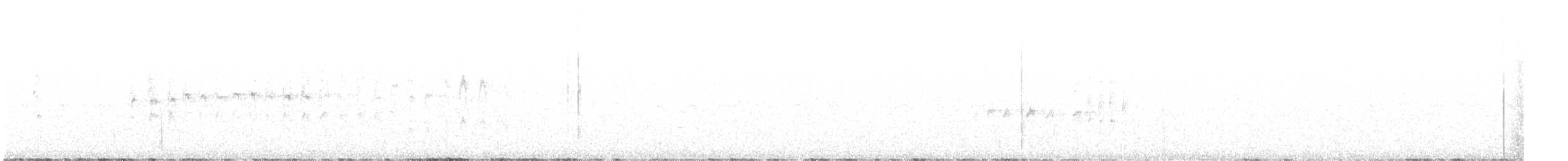 White-throated Swift - ML645809484