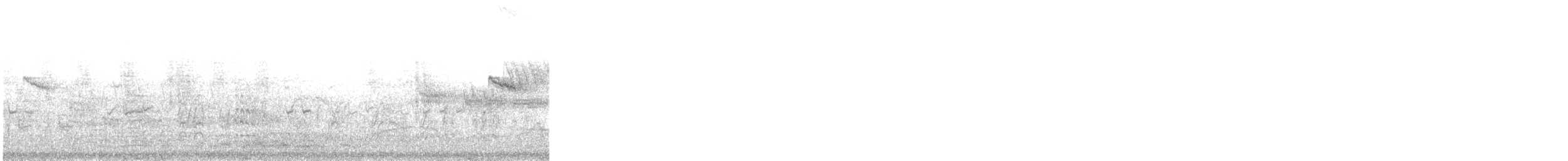 Martin pescatore [gruppo atthis] - ML645809540