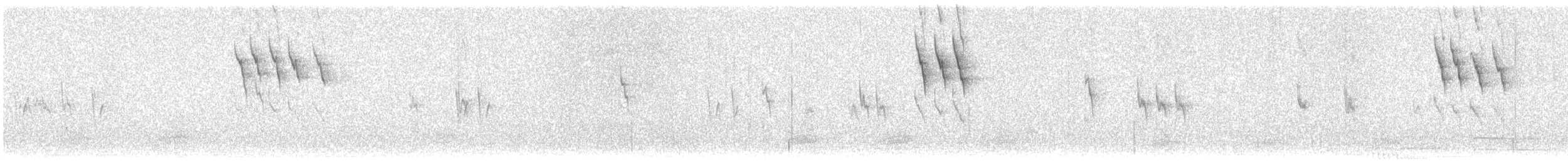 Spioncello del Pacifico - ML645809551