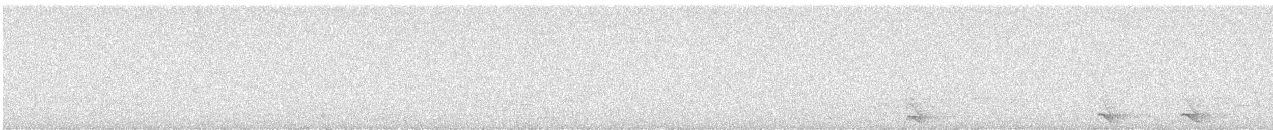 Northern Saw-whet Owl - ML645809741