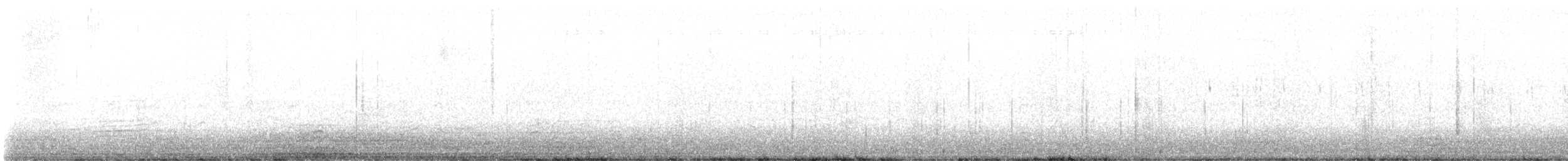 Picidae sp. - ML645809809