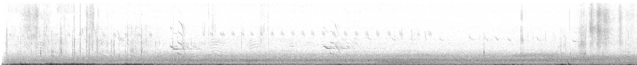 Picidae sp. - ML645809810