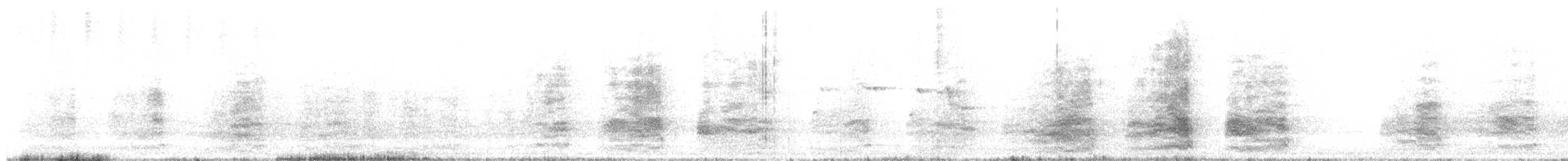 Sulphur-crested Cockatoo - ML645809944