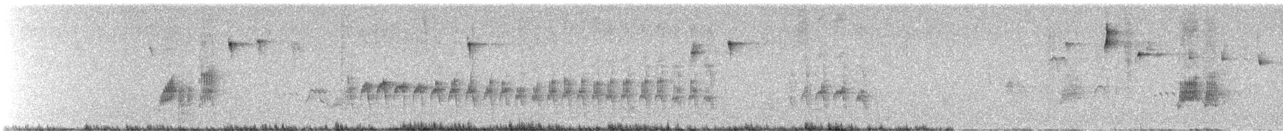 Slender-billed Finch - ML645809957