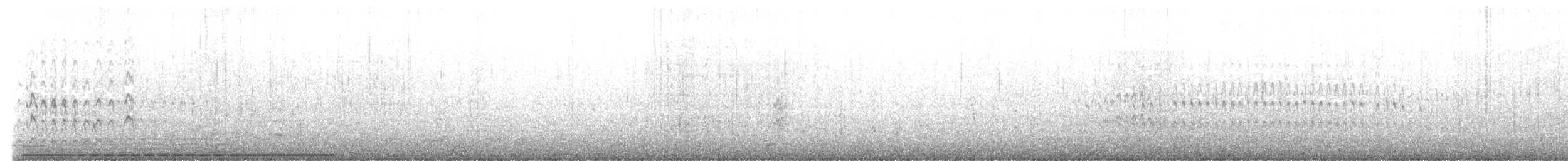 Black Turnstone - ML645810438