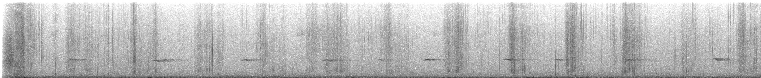 Townsend's Solitaire - ML645810465