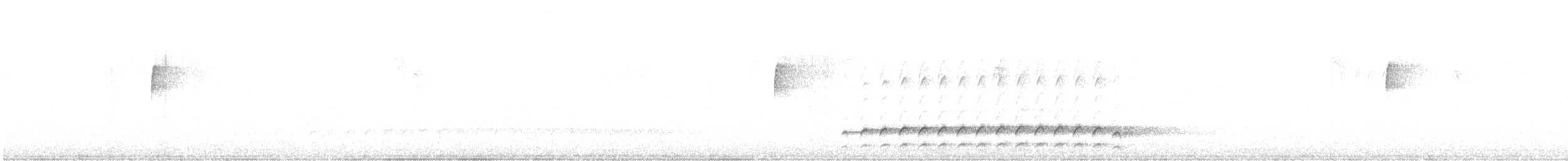 Picamaderos Norteamericano - ML645811058