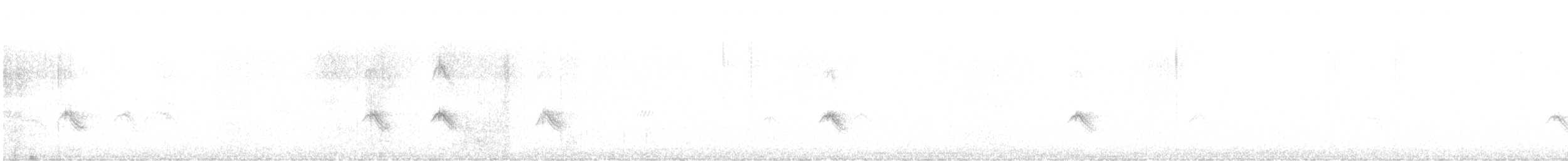 Picogordo Vespertino - ML645811072