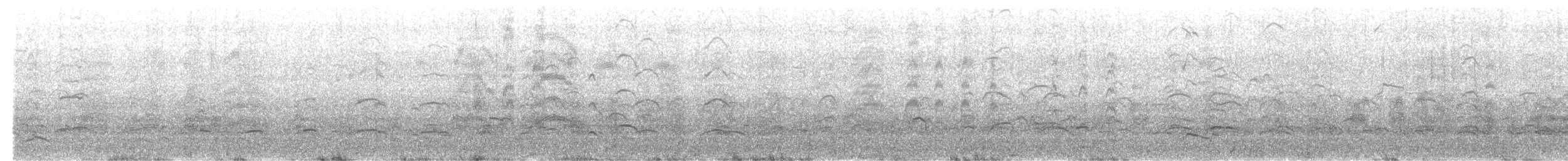 Gaviota de Bonaparte - ML645811243