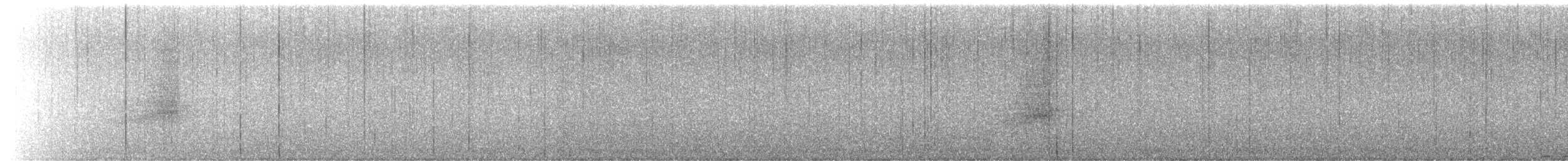 Búho Magallánico - ML645811294