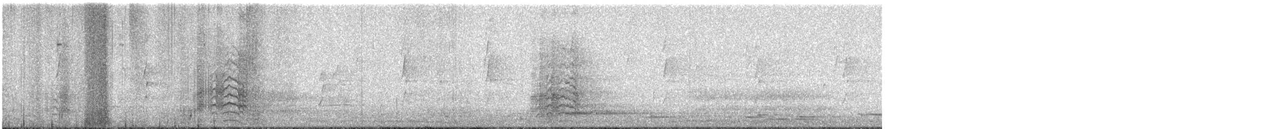 Cacatúa Gangang - ML645811585