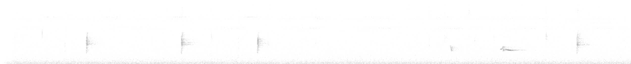 Turpial Boyerito - ML645811622