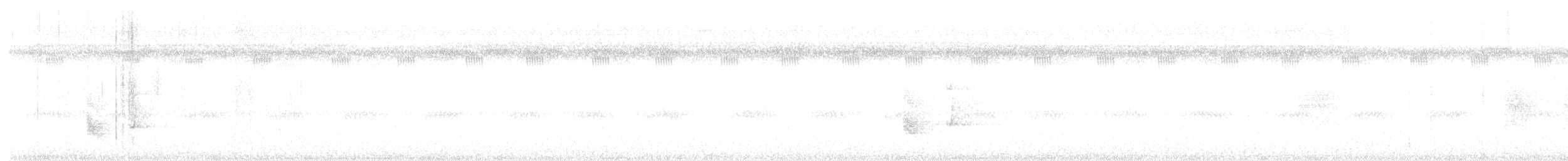 Saltarín Enano - ML645811678