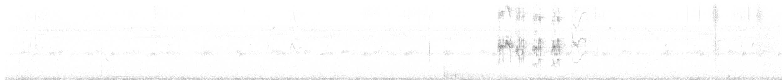 Tirano Palmero - ML645811740