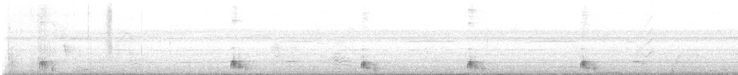 Cucarachero Currucuchú - ML645811858