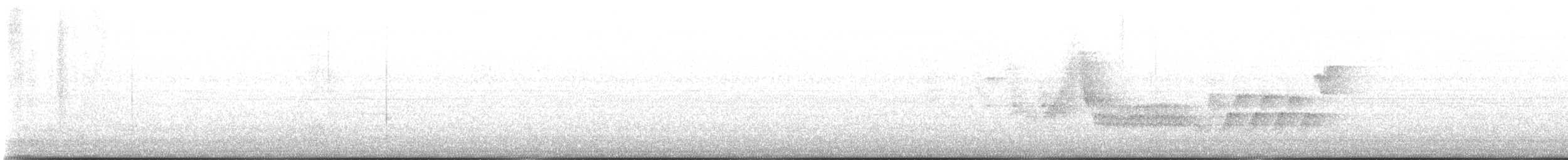 Chochín Criollo Sureño - ML645812027