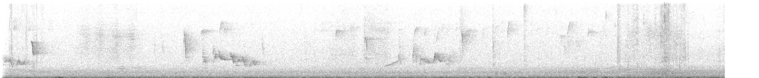 Cuervo Pescador - ML645812204