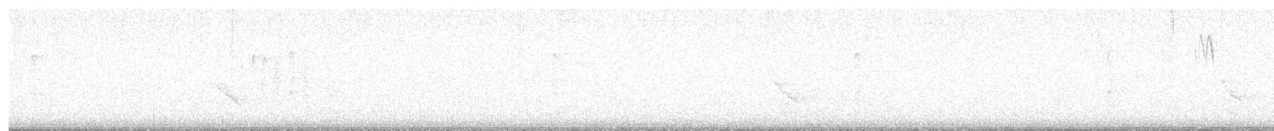 Northern Flicker (Yellow-shafted) - ML645812405