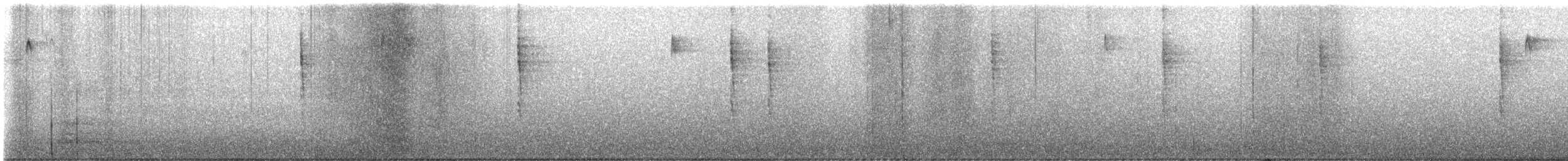 Pacific Wren - ML645812426