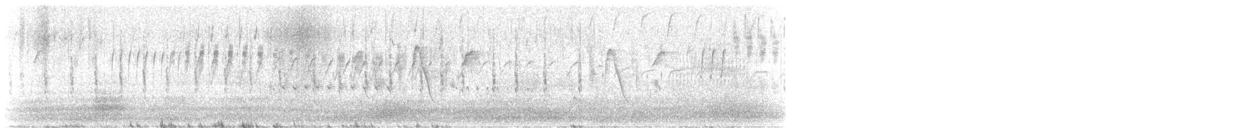 Magellanic Snipe - ML645812530