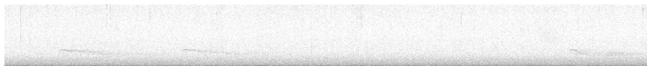 Red-tailed Hawk (borealis) - ML645812924