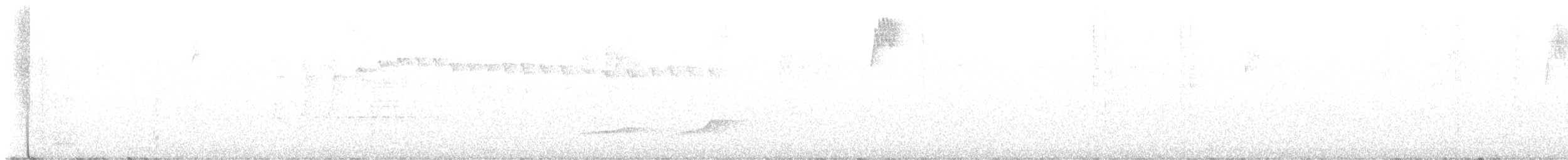 Santa Marta Antpitta - ML645813328