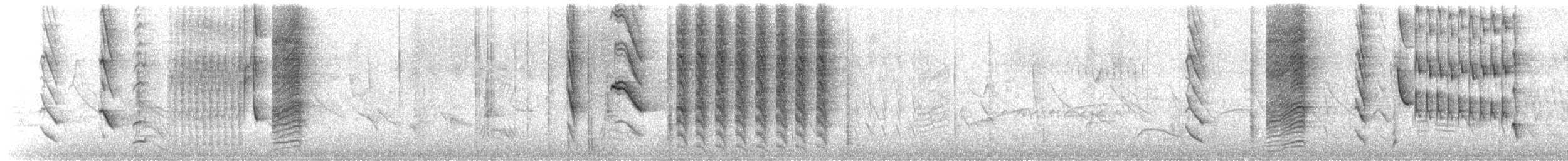 Austral Blackbird - ML645813409