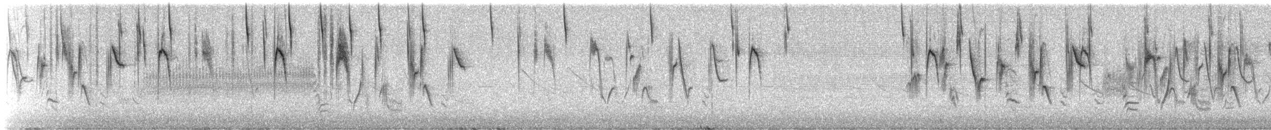 linduška jihoamerická - ML645813706