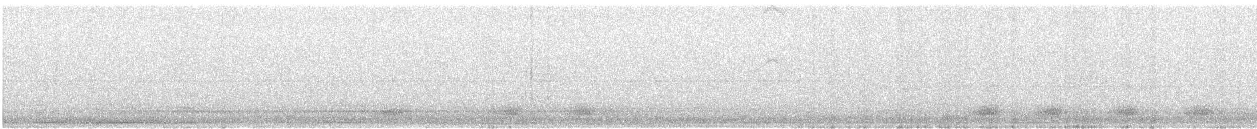 krkavec mexický - ML645813972