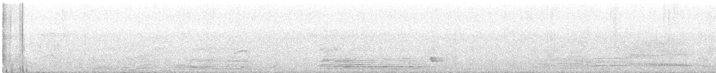 Tuamoturohrsänger - ML645814073