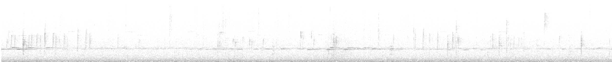 White-throated Tyrannulet - ML645814770