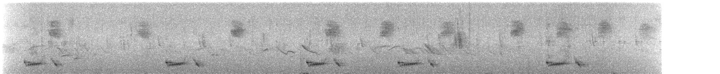 Black-winged Ground Dove - ML645815772