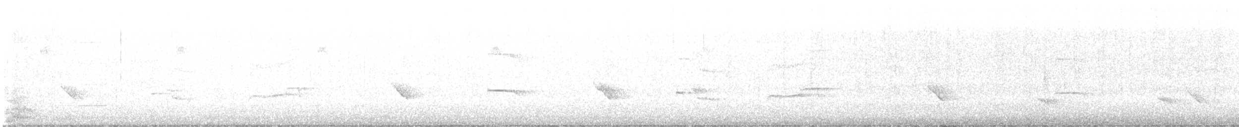 Balbuzard pêcheur - ML645815838