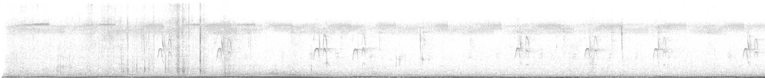 Boz Başlı Sıvacı - ML645816226